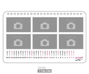 مدل T13b-C06